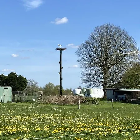 Filippus - 30km From The Sea In Western Jutland By Interhome *
